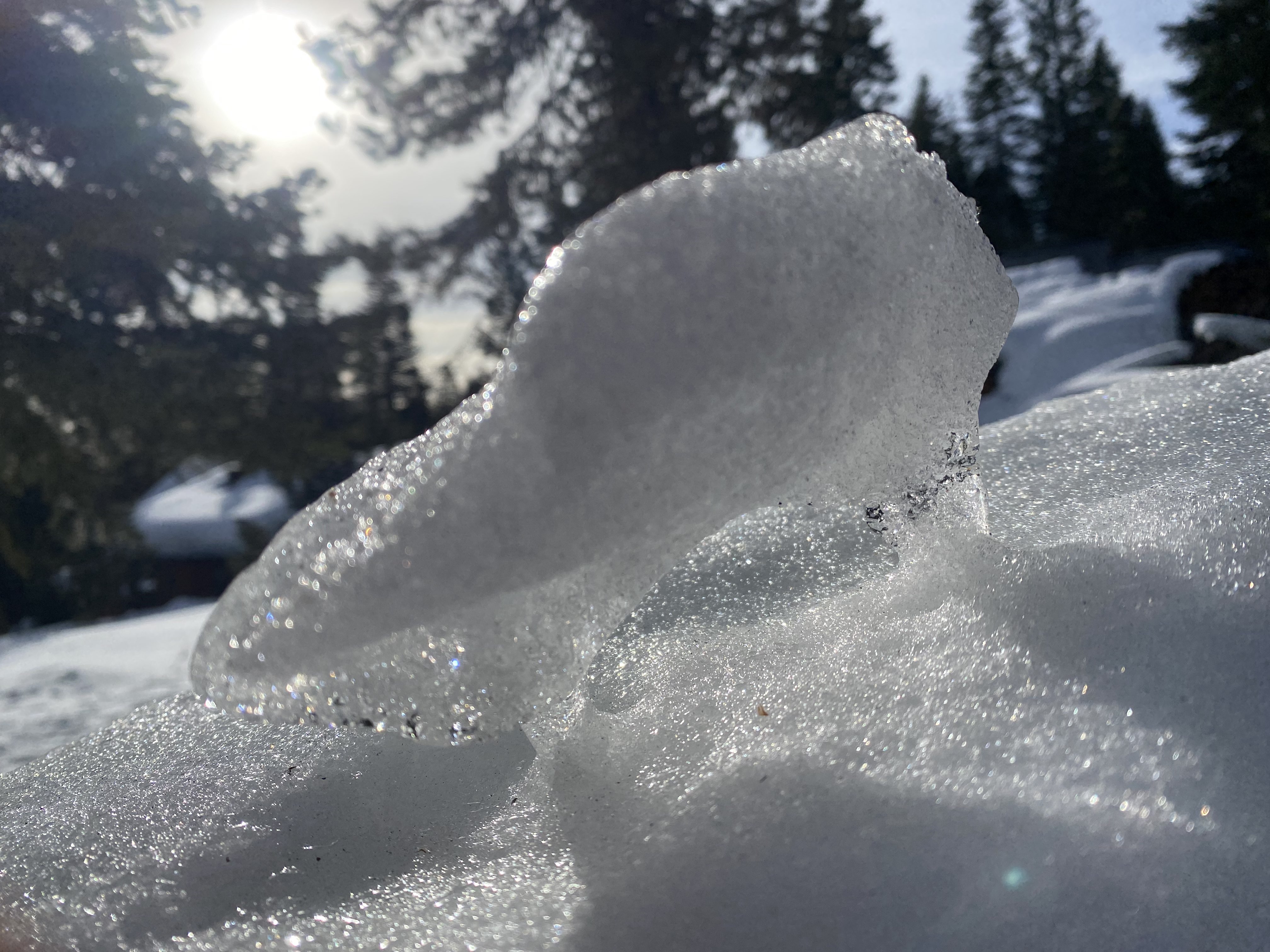 Ice