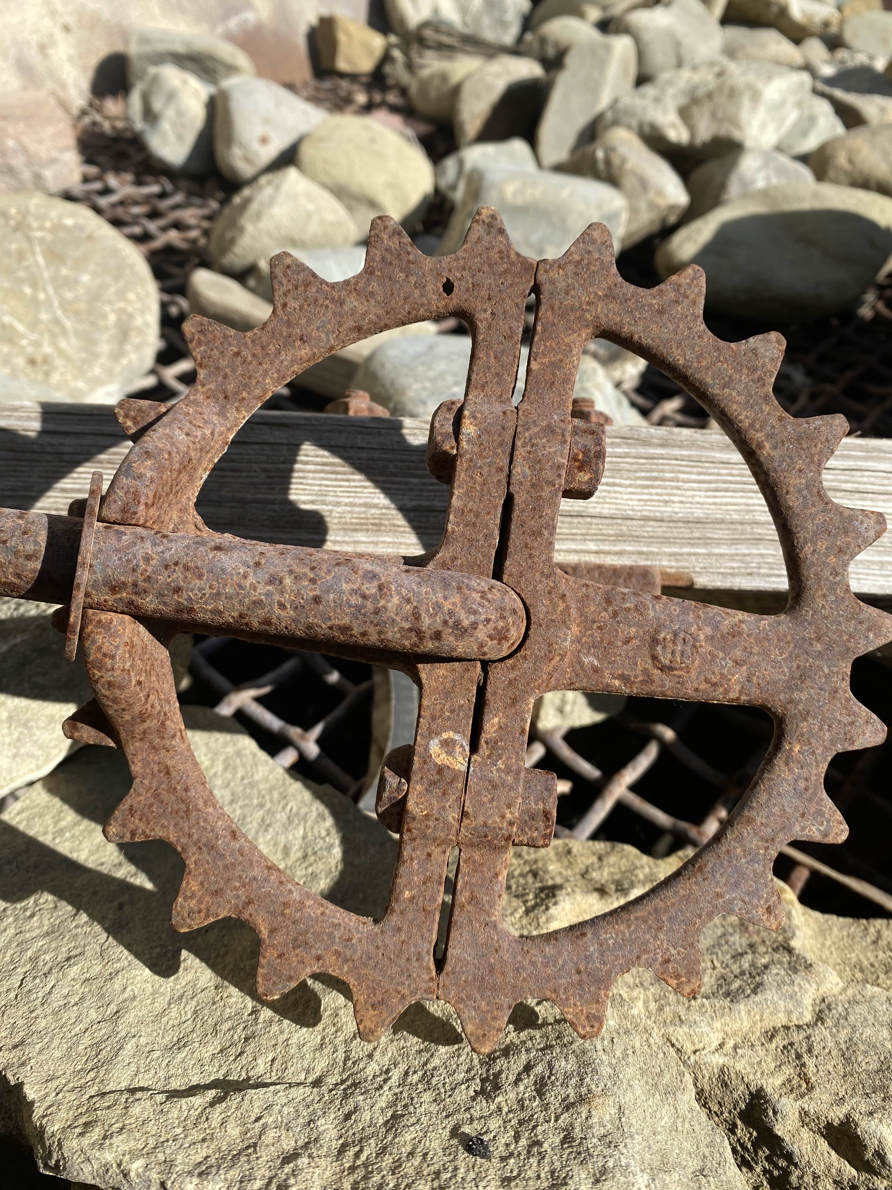 Gear