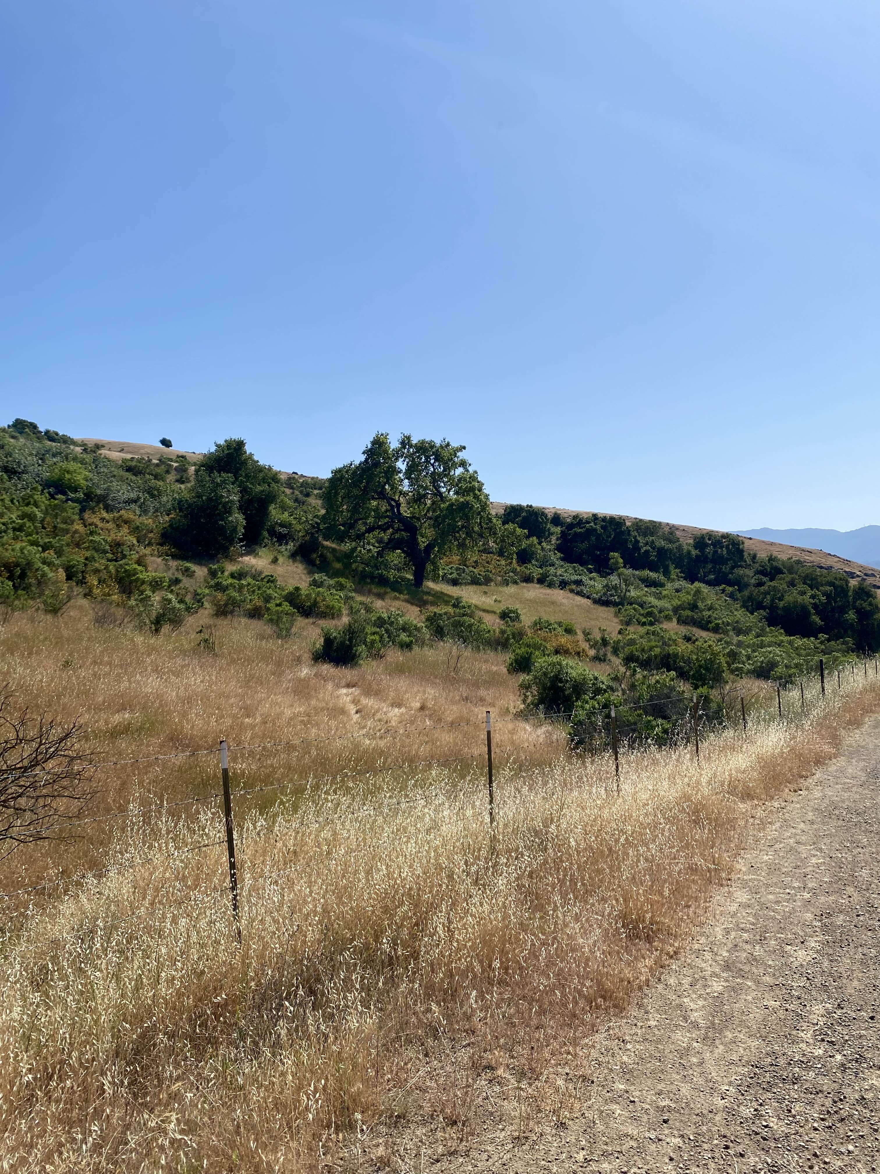 Path
