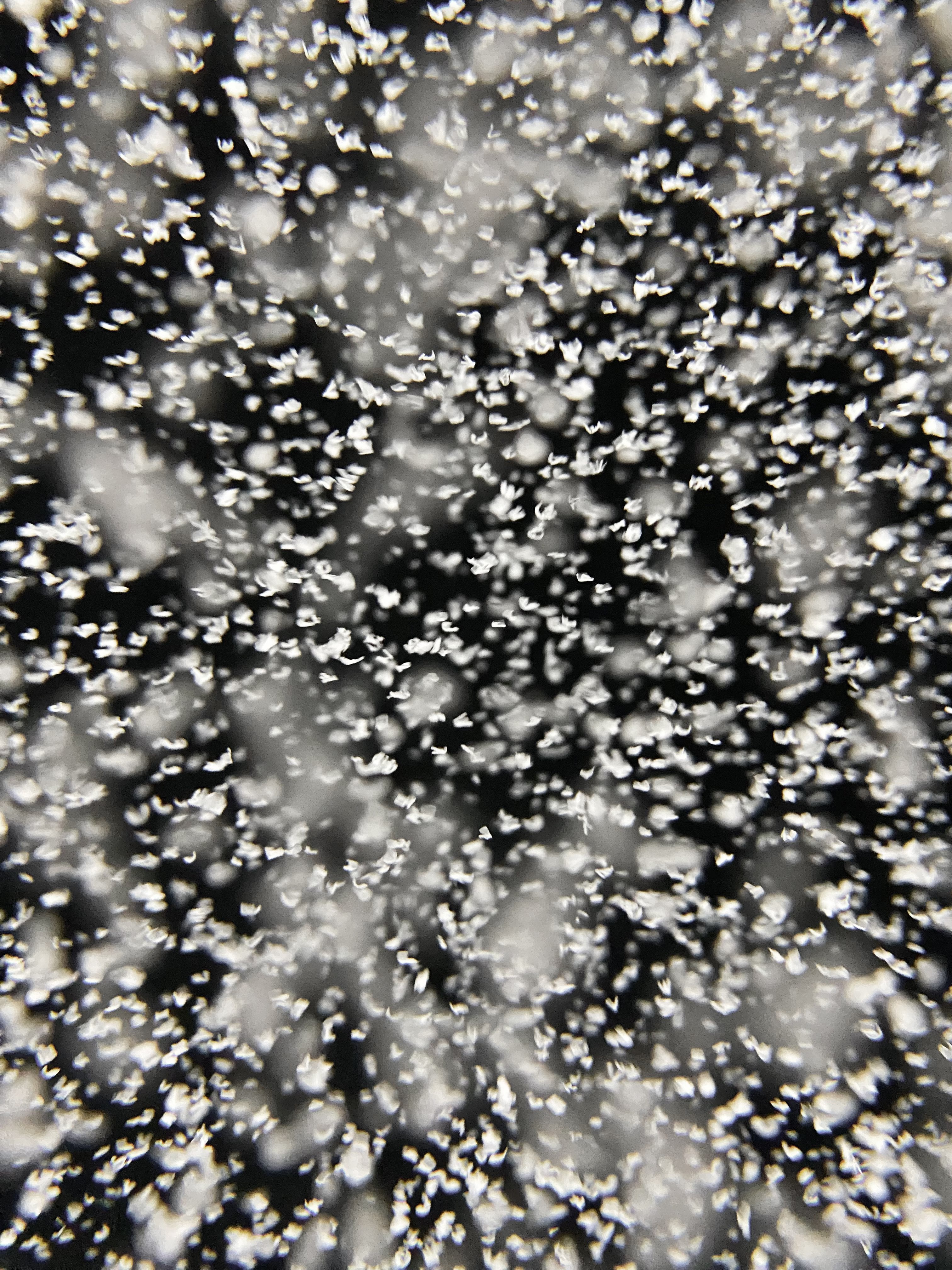 Microplastics