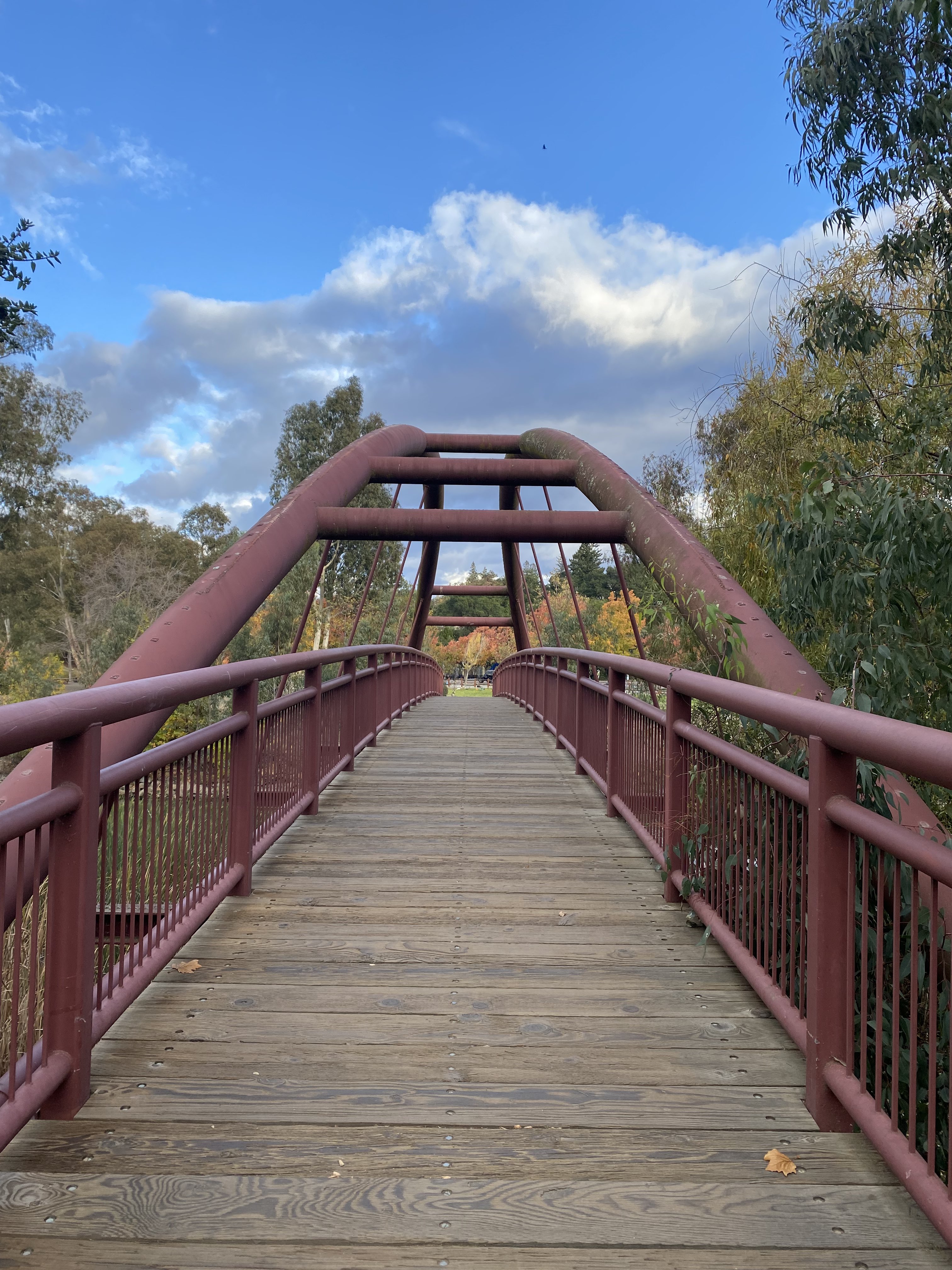 Bridge